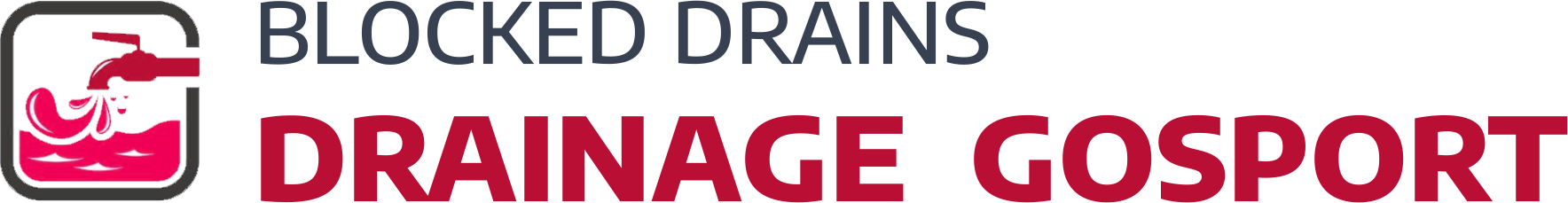 website logo